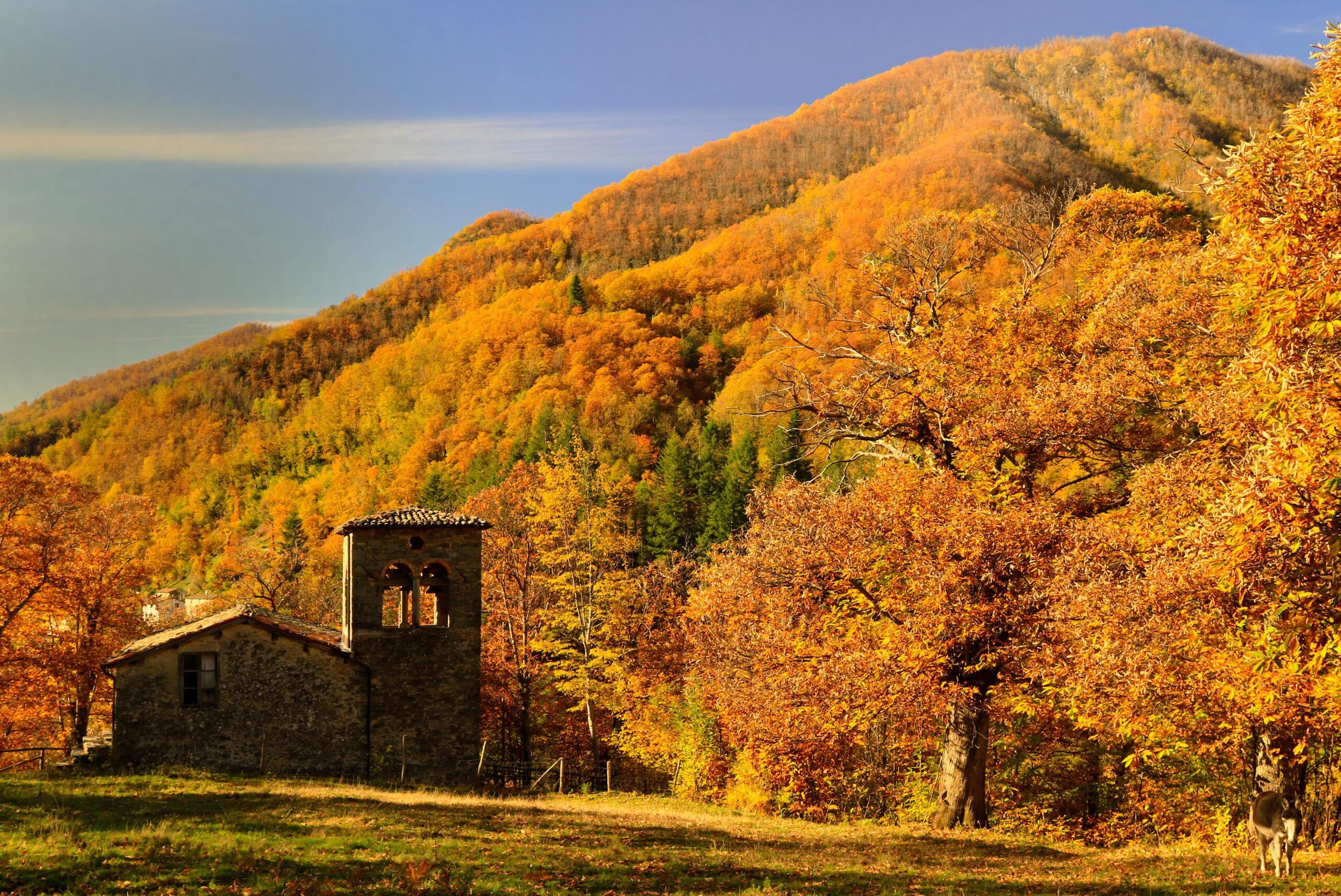 COLORI AUTUNNO2_northtuscany