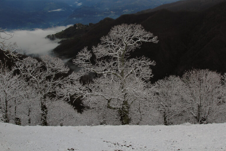 appennino_paesaggioinvernale_northtuscany